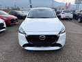 Mazda 2 Mazda2 Skyactiv G75 Homura Weiß - thumbnail 2