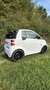 smart forTwo cabrio softouch BRABUS - Weiß - EZ 2015 - SHZ - - thumbnail 9