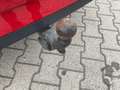 Skoda Superb COMBI SPORTLINE 2,0lTDI 140 kW 7-Gang DSG Roşu - thumbnail 20