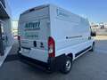 Fiat Ducato 2.3MJT LH2 Furgone E6D 140cv3700x1810xx1930 kg1290 Bianco - thumbnail 6
