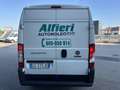 Fiat Ducato 2.3MJT LH2 Furgone E6D 140cv3700x1810xx1930 kg1290 Bianco - thumbnail 7
