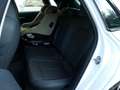 Audi A3 35 1.5 TFSIe 150 Ch S-LINE S-TRONIC TOIT OUVRANT MILD HYBRID Weiß - thumbnail 14
