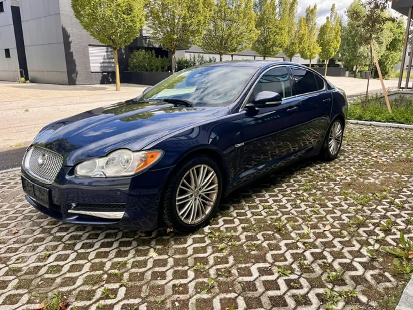 Jaguar XF 3.0 V6 Diesel Luxury Blau - 1