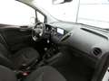 Ford Transit Courier 1.0 EcoB Trend AHK+SHZ+FSH+Navi Weiß - thumbnail 15