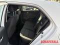 Kia Rio 1.2 Edition 7 Emotion-Paket Klima Sitzheizung Temp Weiß - thumbnail 15