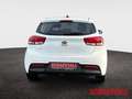 Kia Rio 1.2 Edition 7 Emotion-Paket Klima Sitzheizung Temp Weiß - thumbnail 5