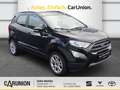 Ford EcoSport Titanium *LED*KLIMA*SITZH*TEMPO* Negro - thumbnail 3