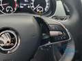 Skoda Fabia Combi 1.0 TSi Ambition Tempomat Smart-Link Blanco - thumbnail 21