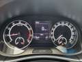 Skoda Fabia Combi 1.0 TSi Ambition Tempomat Smart-Link Blanco - thumbnail 22