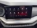Skoda Octavia 4x4 Ambition TDI DSG Schwarz - thumbnail 16