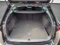 Skoda Octavia 4x4 Ambition TDI DSG Schwarz - thumbnail 17