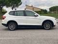 BMW X3 X3 F25 2010 xdrive20d Eletta *GARANZIA* Weiß - thumbnail 6
