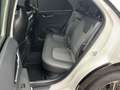 Kia Niro 1.6 GDI HEV Vision DCT Komfort Style Weiß - thumbnail 13