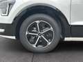 Kia Niro 1.6 GDI HEV Vision DCT Komfort Style Weiß - thumbnail 19