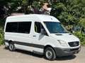 Mercedes-Benz Sprinter 313 Cdi 9 Sitze Rollstuhllift Klima Eu5 Weiß - thumbnail 5