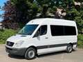 Mercedes-Benz Sprinter 313 Cdi 9 Sitze Rollstuhllift Klima Eu5 Weiß - thumbnail 1