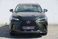 Lexus NX 450h+ E-FOUR Business Grün - thumbnail 8
