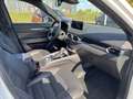 Mazda CX-5 194PS HOMURA LEDER BOSE MATRIX-LED 360° Weiß - thumbnail 13
