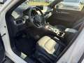 Mazda CX-5 194PS HOMURA LEDER BOSE MATRIX-LED 360° Weiß - thumbnail 7