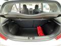 Kia Picanto 1.0 DPi DynamicLine Carplay, Camera, Cruise Contro Wit - thumbnail 12