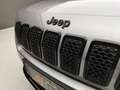 Jeep Cherokee 2.2 MJT 195CV NIGHT EAGLE 4WD Grigio - thumbnail 45