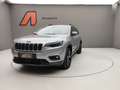 Jeep Cherokee 2.2 MJT 195CV NIGHT EAGLE 4WD Grigio - thumbnail 1