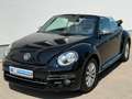 Volkswagen Beetle Cabriolet 2,0 TDI Design  Navi Sitzh. Schwarz - thumbnail 1