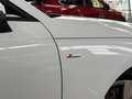 Audi A4 40 TDI quattro S line HUD Keyless B&O Magnetic 18" Weiß - thumbnail 18