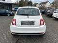 Fiat 500 1.0 Mild-Hybrid Club Bianco - thumbnail 4