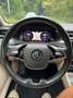 Skoda Superb Superb Wagon 2.0 tdi 4x4 200cv dsg Grigio - thumbnail 9