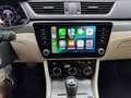 Skoda Superb Superb Wagon 2.0 tdi 4x4 200cv dsg Grigio - thumbnail 10