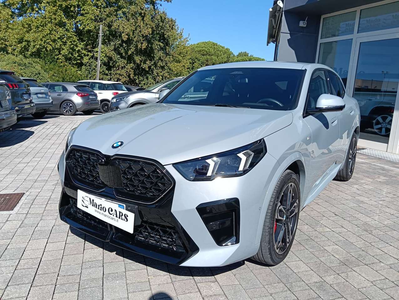 BMW X2 X2 sdrive 20i 48V MSport Pro auto