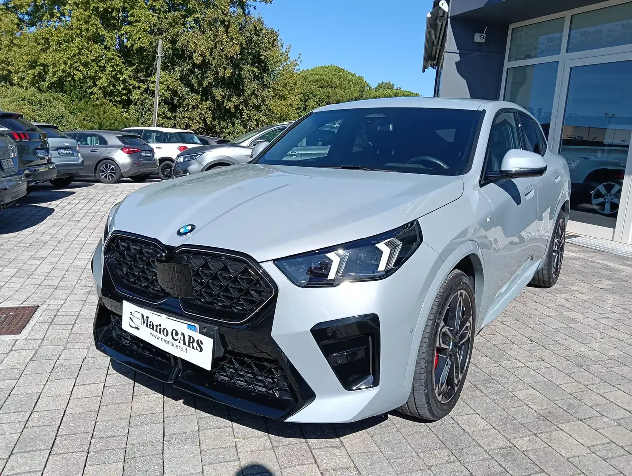 BMW X2