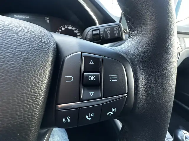 Ford Focus view 24