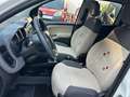 Fiat Panda 1.3 mjt 16v 4x4 SOLO 96000 KM ELD X NEO PATENTATI Wit - thumbnail 17