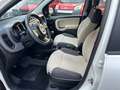 Fiat Panda 1.3 mjt 16v 4x4 SOLO 96000 KM ELD X NEO PATENTATI Wit - thumbnail 16