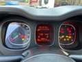 Fiat Panda 1.3 mjt 16v 4x4 SOLO 96000 KM ELD X NEO PATENTATI Wit - thumbnail 18