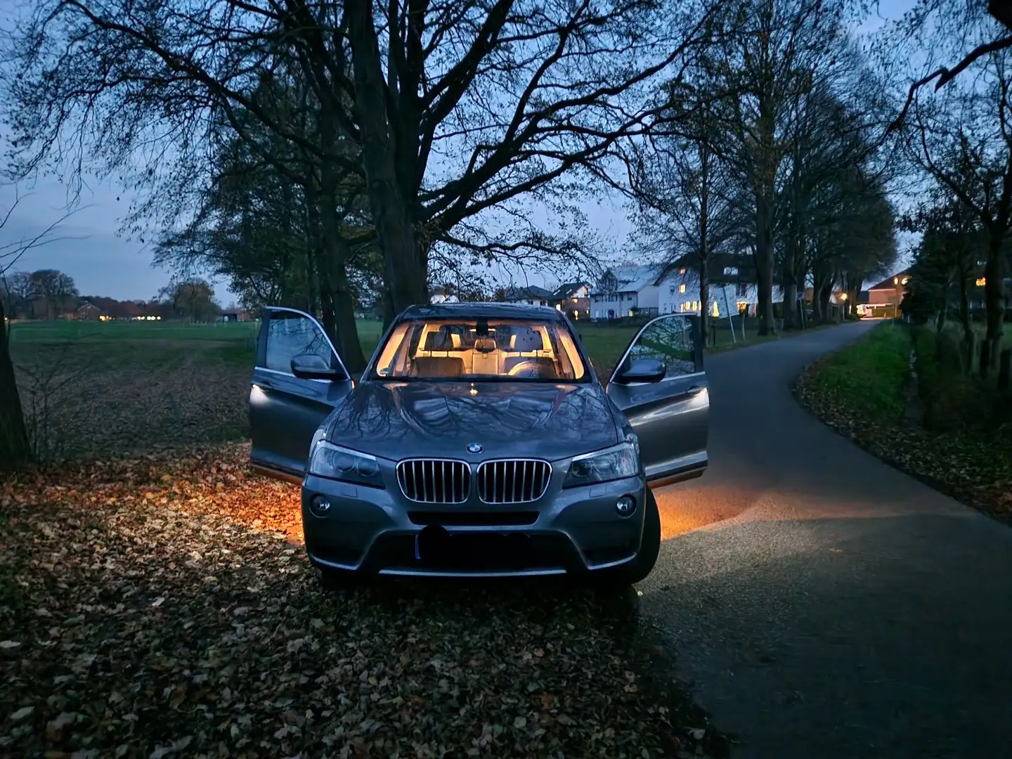 BMW X3 F 25 X Line, xDrive20d Aut. Grau - 1