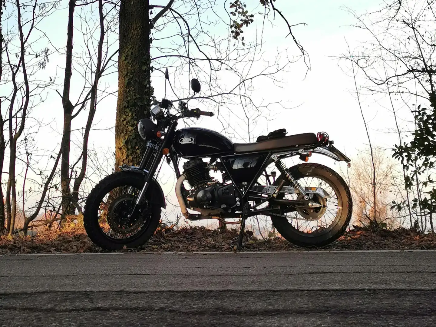 Mash Two Fifty Nero - 2