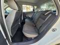 SEAT Ibiza Ibiza 5p 1.4 tdi cr Style 75cv Bianco - thumbnail 8