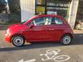 Fiat 500 500 III 1.2 Lounge 69cv NEOPATENTATI Rosso - thumbnail 5