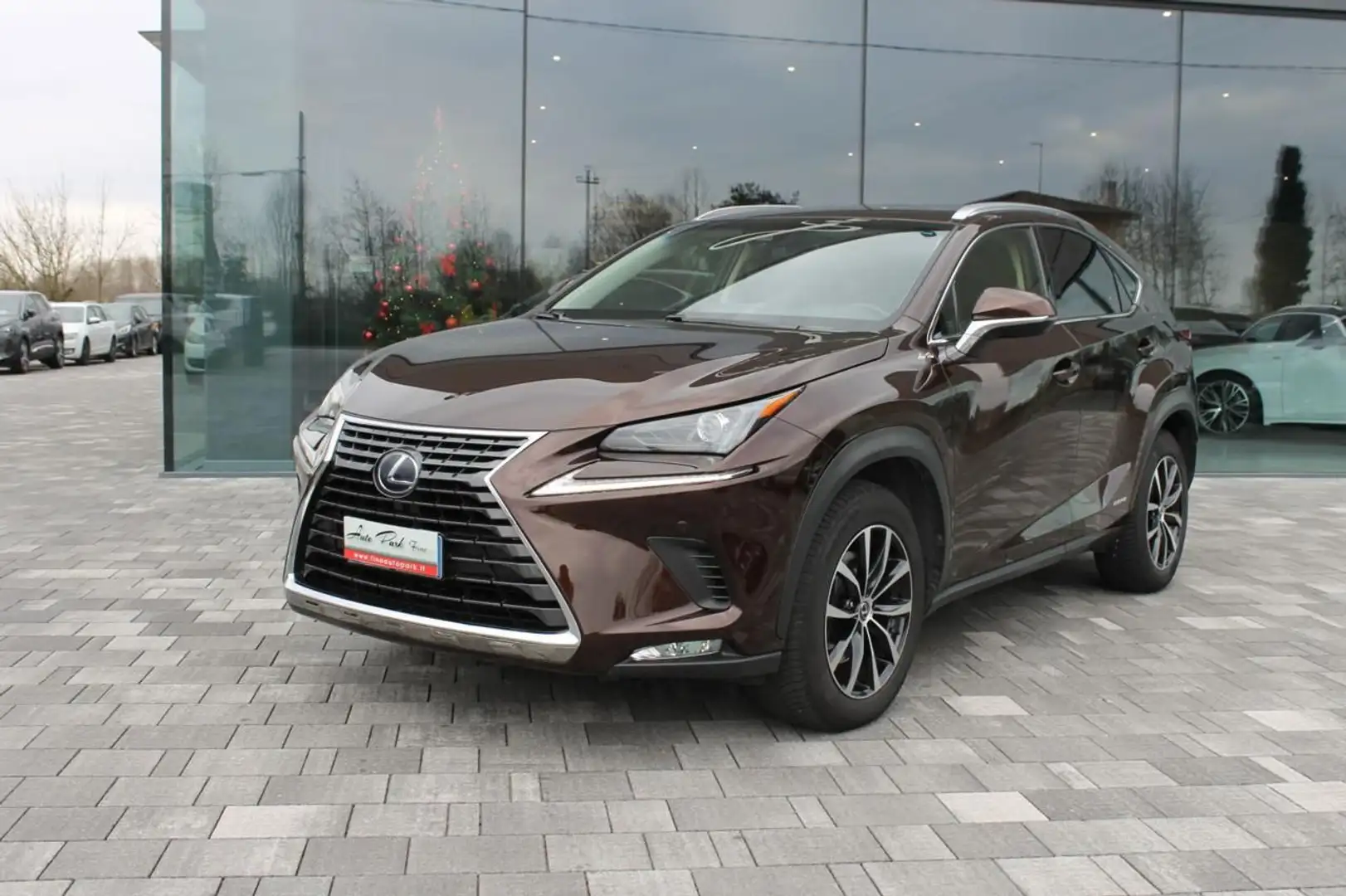 Lexus NX 300h Hybrid Marrón - 2