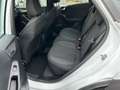 Ford Puma Titanium 1.0 EcoBoost  MHEV +DAB+PDC+NAVI+SZH+ Blanc - thumbnail 11