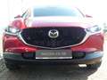 Mazda CX-30 e-SKYACTIV-G 140 M-Hybrid Exclusive-Line Schwarz - thumbnail 6