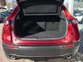 Mazda CX-30 e-SKYACTIV-G 140 M-Hybrid Exclusive-Line Schwarz - thumbnail 7