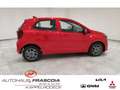 Kia Picanto 1.2 VISION Navi Rückfahrkam PDChi. SHZ LenkradHZG Rojo - thumbnail 4