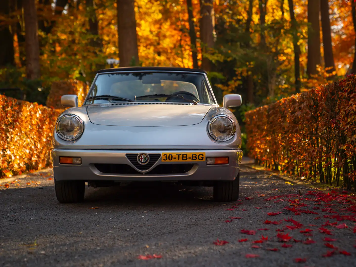 Alfa Romeo Spider 2.0 Grijs - 2