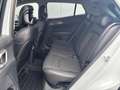 Kia Sportage 1.6 T-GDi (150 pk) DynamicPlusLine - stoelverwarmi Wit - thumbnail 22