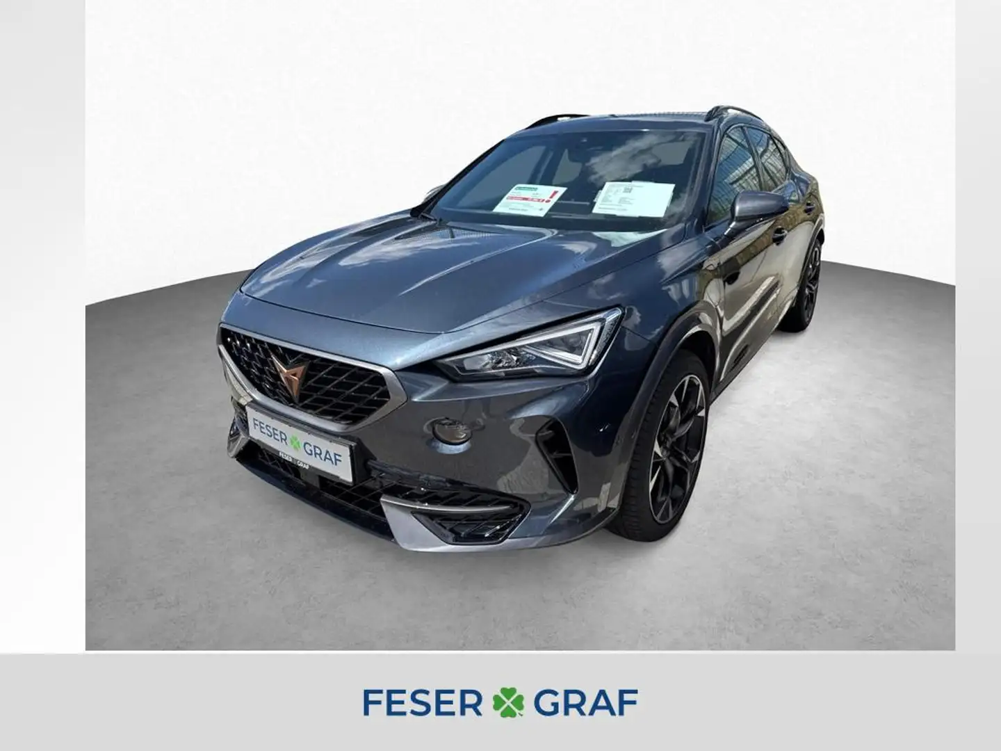 CUPRA Formentor VZ 1.4 e-Hybrid/FULL LINK/SHZ/FaPa L Grau - 1
