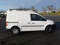 Volkswagen Caddy Caddy TDI 1.6 TDI  Klima Technisch - Optisch Top Blanco - thumbnail 1